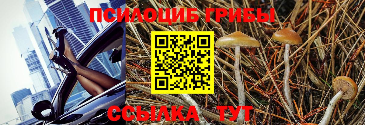 Псилоцибиновые грибы GOLDEN TEACHER  Вход с VPN  Ейск 