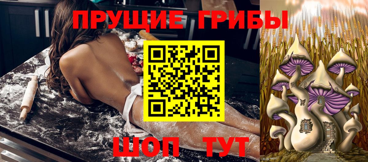 Псилоцибиновые грибы ЛСД Ейск